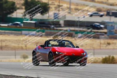 media/Mar-08-2025-Extreme Speed (Sat) [[4abb97269e]]/Blue/Turns 2  and  4 (Session 2)/